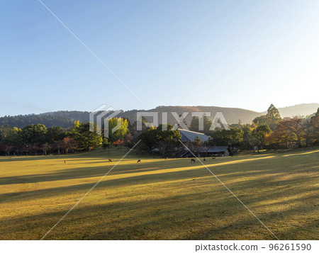 Nara Park Kasuganoenchi and herd of deer in autumn 96261590