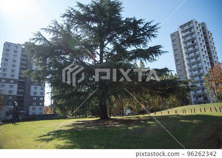 UR Misato housing complex, the second largest mammoth housing complex in UR UR Misato housing complex, the second largest mammoth housing complex in UR 96262342