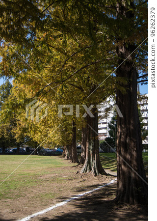 UR Misato housing complex, the second largest mammoth housing complex in UR UR Misato housing complex, the second largest mammoth housing complex in UR 96262379