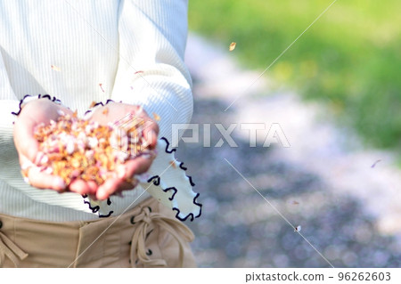 摘櫻花的女人 96262603