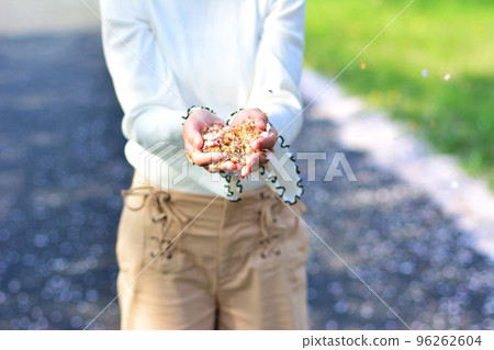 摘櫻花的女人 摘櫻花的女人 96262604