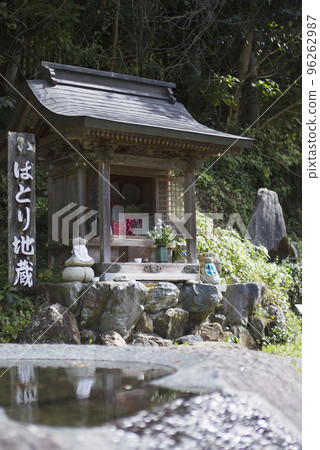 10 月下旬,滋賀縣 Samegai Wart Park 10 月下旬,滋賀縣 Samegai Wart Park 96262987