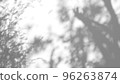 Abstract leaves natural shadow overlay on white texture background, for overlay on product presentation, backdrop and mockup 96263874