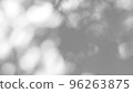 Abstract leaves natural shadow overlay on white texture background, for overlay on product presentation, backdrop and mockup 96263875