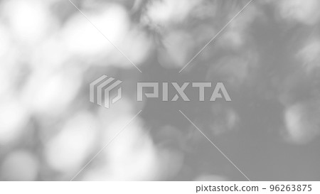 Abstract leaves natural shadow overlay on white texture background, for overlay on product presentation, backdrop and mockup 96263875