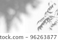 Abstract leaves natural shadow overlay on white texture background, for overlay on product presentation, backdrop and mockup 96263877
