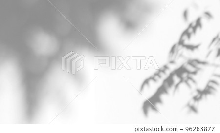 Abstract leaves natural shadow overlay on white texture background, for overlay on product presentation, backdrop and mockup Abstract leaves natural shadow overlay on white texture background, for overlay on product presentation, backdrop and mockup 96263877