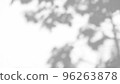 Abstract leaves natural shadow overlay on white texture background, for overlay on product presentation, backdrop and mockup 96263878