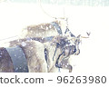 Santa's reindeer with strong snowfall run. 96263980