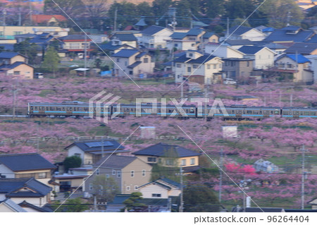 穿過甲府盆地桃源峽的211系列車_攝於2022年4月9日 96264404