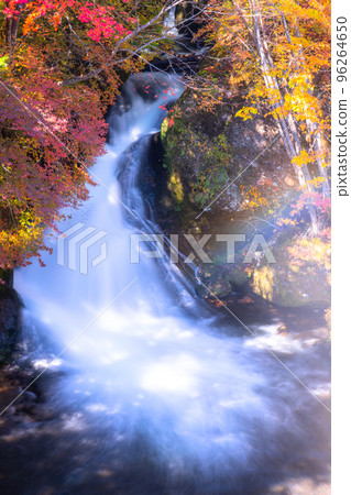 《Tochigi Prefecture》Autumn Ryuzu Waterfall・Autumn foliage peak season 96264650
