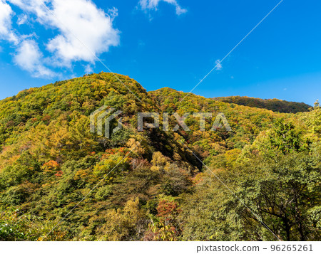 通往奧多摩大菩薩雷斯的上道川上的秋景 美麗的紅葉 通往奧多摩大菩薩雷斯的上道川上的秋景 美麗的紅葉 96265261