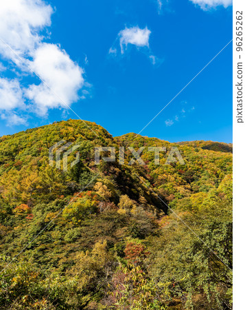 Autumn scenery Beautiful foliage on the Kamichi River heading for Okutama Daibosatsurei Autumn scenery Beautiful foliage on the Kamichi River heading for Okutama Daibosatsurei 96265262