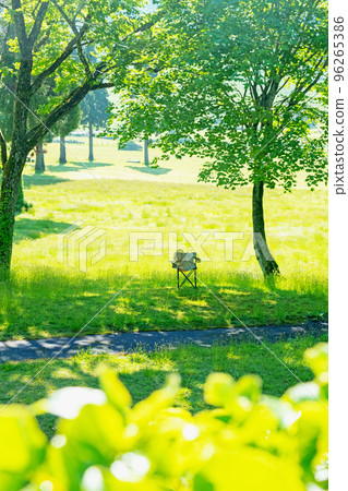 新鮮的綠色公園樹蔭和椅子(Oyama Kagamiganaru) 新鮮的綠色公園樹蔭和椅子(Oyama Kagamiganaru) 96265386