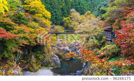 Hatonosu Bridge dyed in autumn leaves Hatonosu Bridge dyed in autumn leaves 96266175