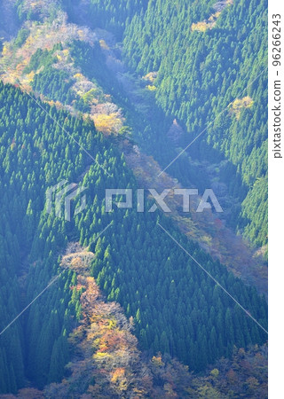 [奈良縣上北山村]滑子溪谷的秋天 96266243