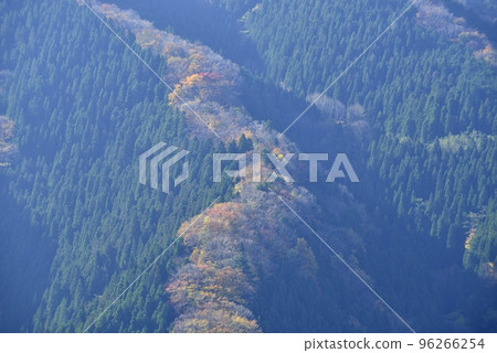[奈良縣上北山村]滑子溪谷的秋天 96266254