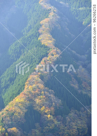[奈良縣上北山村]滑子溪谷的秋天 96266258