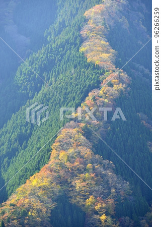 [奈良縣上北山村]滑子溪谷的秋天 96266259