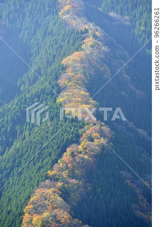 [奈良縣上北山村]滑子溪谷的秋天 96266261