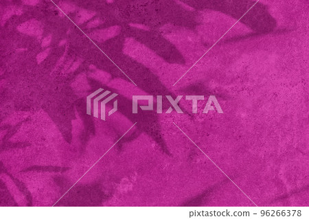 Shadow of leaves on pink concrete wall texture background 96266378