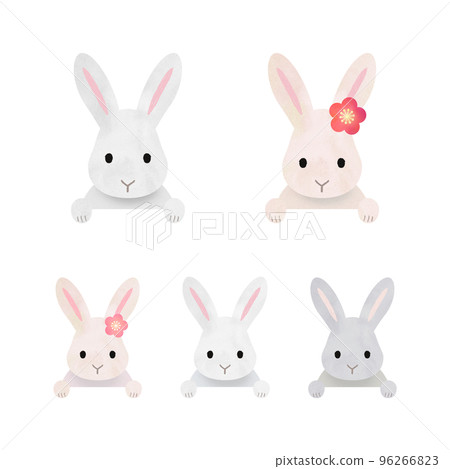 Rabbit parent and child illustration material 96266823