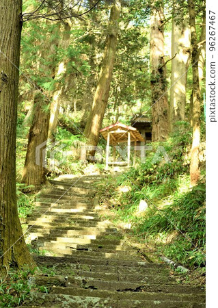 栃木縣通往校區的道路 栃木縣通往校區的道路 96267467