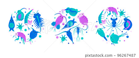 Circle elements with zooplankton sea microorganisms, vector icon isolated. 96267487