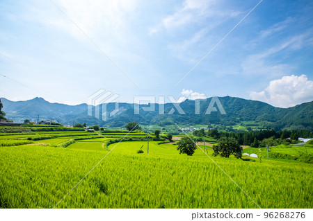 宮崎縣高千穂町梯田 96268276