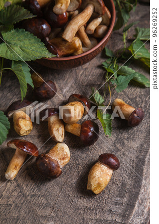 Pile of Imleria Badia or Boletus badius mushrooms commonly known as the bay bolete on vintage wooden background.. Pile of Imleria Badia or Boletus badius mushrooms commonly known as the bay bolete on vintage wooden background.. 96269252