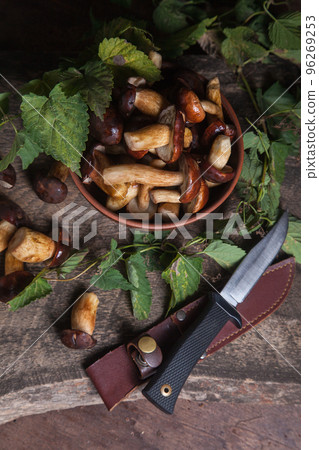 Pile of Imleria Badia or Boletus badius mushrooms commonly known as the bay bolete with knife on vintage wooden background.. Pile of Imleria Badia or Boletus badius mushrooms commonly known as the bay bolete with knife on vintage wooden background.. 96269253