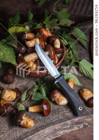 Pile of Imleria Badia or Boletus badius mushrooms commonly known as the bay bolete with knife on vintage wooden background.. Pile of Imleria Badia or Boletus badius mushrooms commonly known as the bay bolete with knife on vintage wooden background.. 96269254