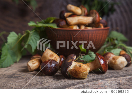 Pile of Imleria Badia or Boletus badius mushrooms commonly known as the bay bolete on vintage wooden background.. 96269255
