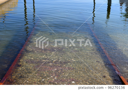 sea rail sea rail 96270136