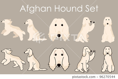 簡單可愛的阿富汗獵犬插畫集 簡單可愛的阿富汗獵犬插畫集 96270544