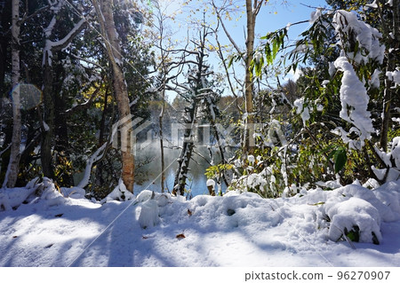 Shiga Kogen in autumn leaves hit by a sudden snowfall Triangle pond in the morning mist Shiga Kogen in autumn leaves hit by a sudden snowfall Triangle pond in the morning mist 96270907