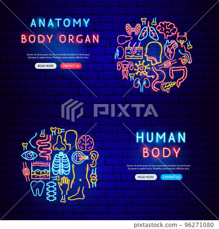 Anatomy Neon Banners Anatomy Neon Banners 96271080