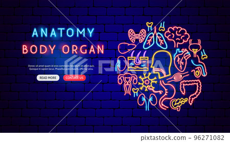 Anatomy Neon Banner Design Anatomy Neon Banner Design 96271082
