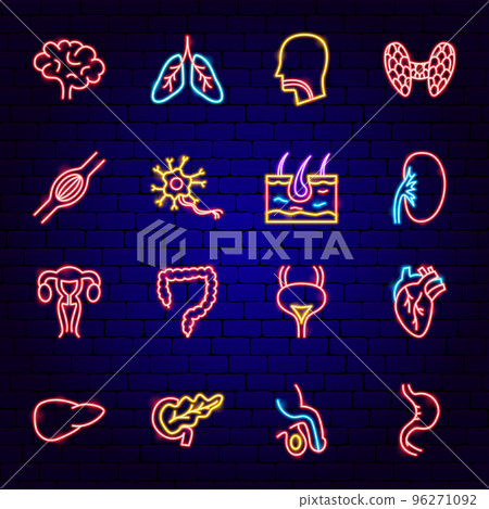Anatomy Neon Icons Anatomy Neon Icons 96271092