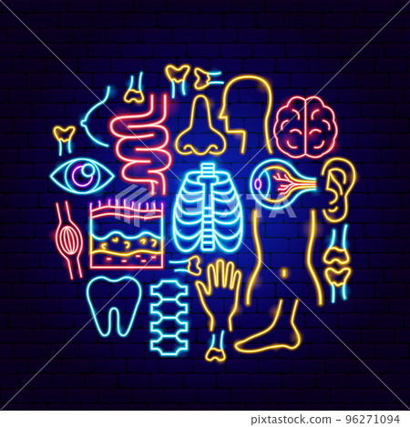 Body Organs Neon Concept Body Organs Neon Concept 96271094