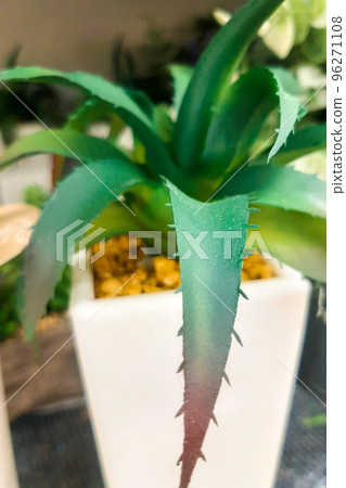 green ornamental plant, aloe vera green ornamental plant, aloe vera 96271108