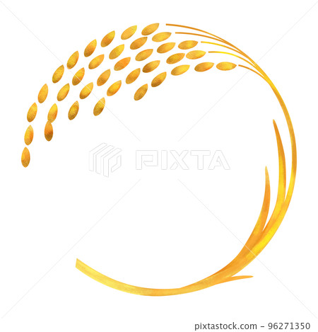 Ear of rice hand drawn watercolor illustration 96271350