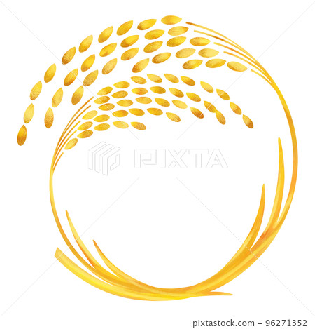 Ear of rice hand drawn watercolor illustration Ear of rice hand drawn watercolor illustration 96271352