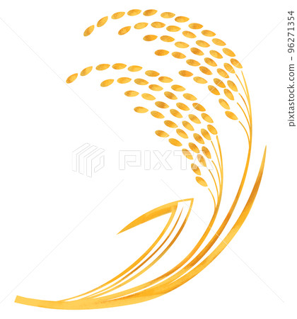 稻穗手繪水彩插圖 96271354