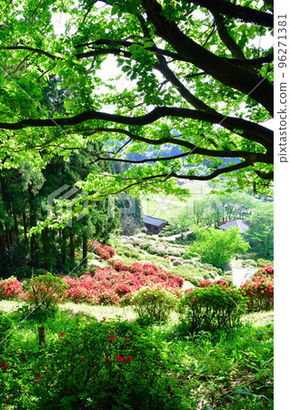 Satsukiyama Park (Niigata Prefecture) 96271381