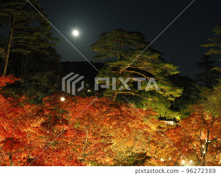 Yahiko Park, Niigata, Momiji Valley illuminated at night Yahiko Park, Niigata, Momiji Valley illuminated at night 96272389