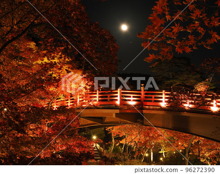Yahiko Park, Niigata, Momiji Valley illuminated at night Yahiko Park, Niigata, Momiji Valley illuminated at night 96272390