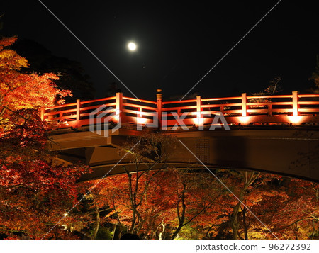 Yahiko Park, Niigata, Momiji Valley illuminated at night 96272392