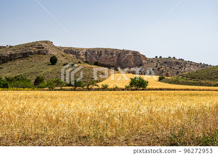 View of Hoces gorges del Rio Riaza Natural Reserve near Segovia in Spain View of Hoces gorges del Rio Riaza Natural Reserve near Segovia in Spain 96272953