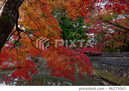 Autumn leaves at Eiho-ji Temple, an ancient temple of the Rinzai sect Autumn leaves at Eiho-ji Temple, an ancient temple of the Rinzai sect 96273063